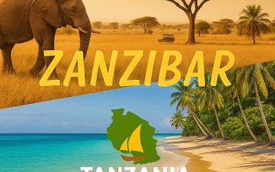 Guide Tanzanie 2025 : Le Guide Essentiel pour Safari et Zanzibar